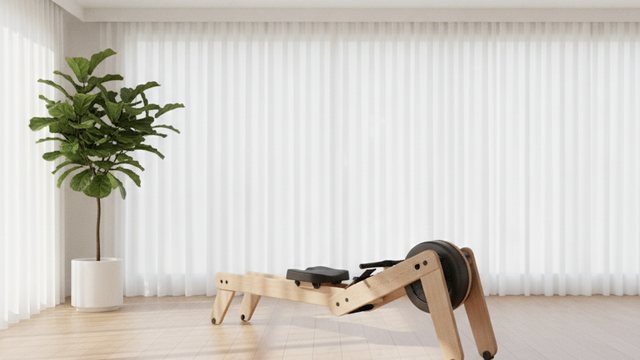 Rowing machine in a bright home gym